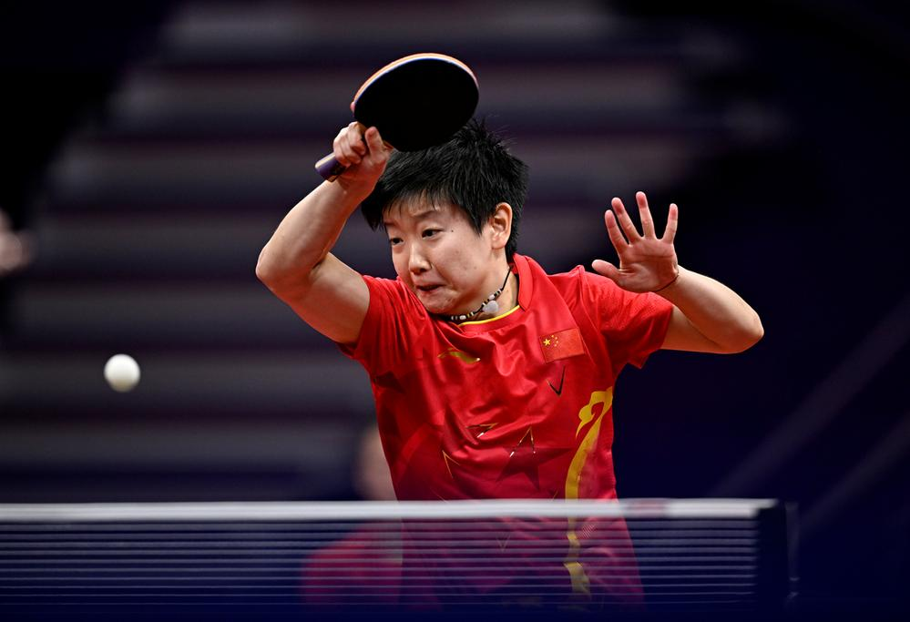 这对组合不 这对组合不